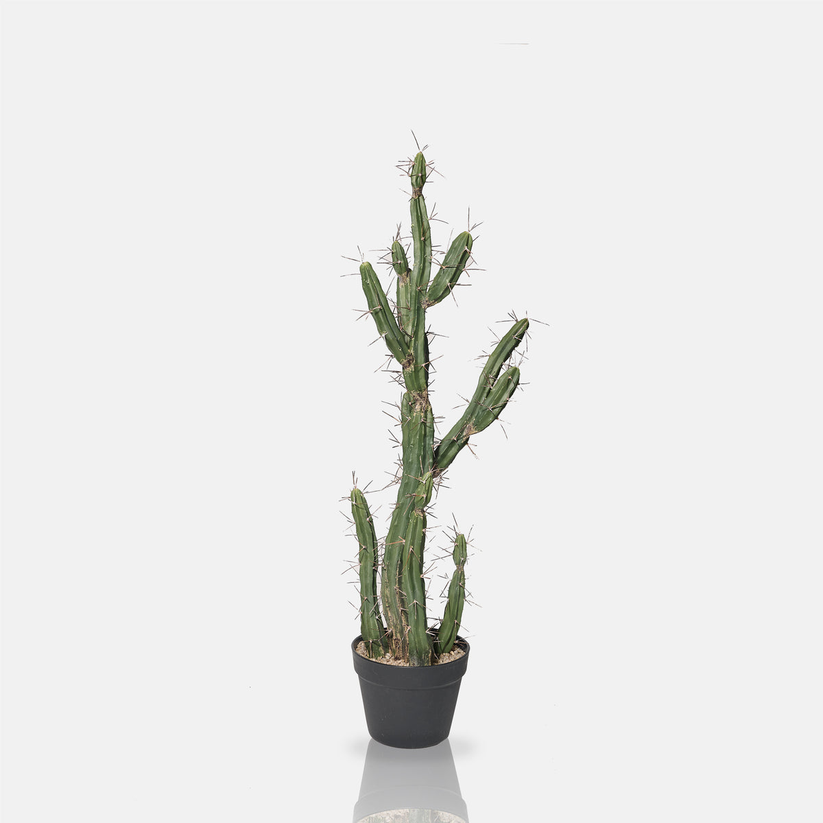 Artificial Cactus
