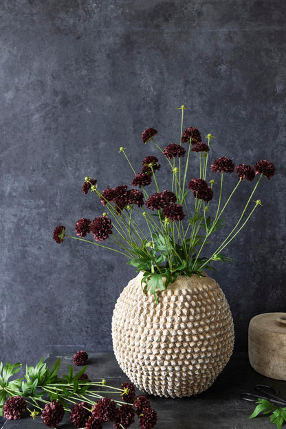 Artificial Clove Stem