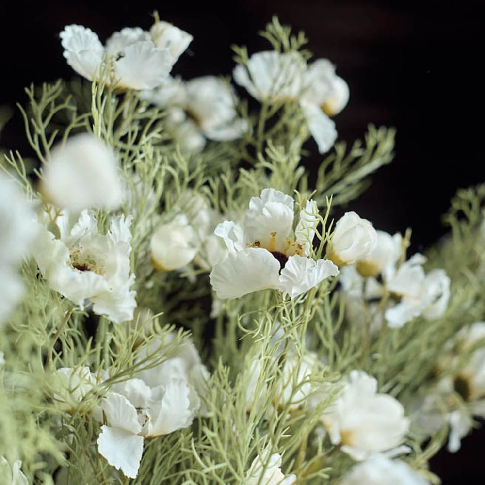Artificial Cosmos, Cream