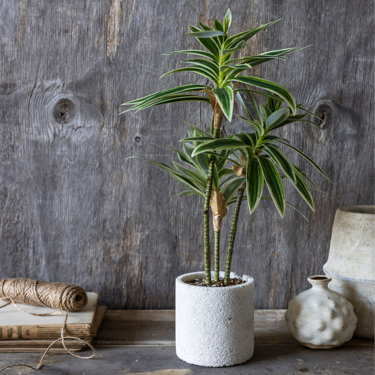 Artificial Dracena