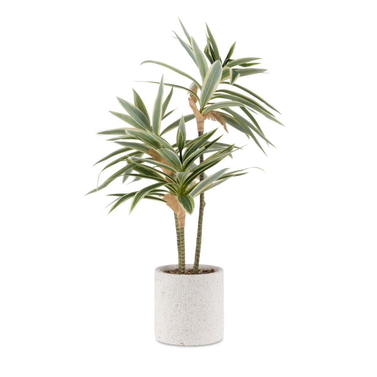 Artificial Dracena