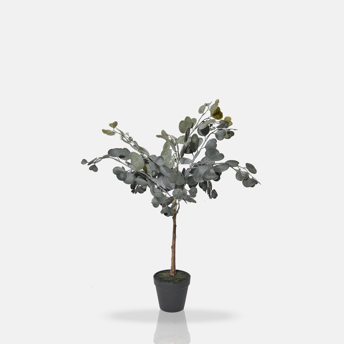 Artificial Eucalyptus