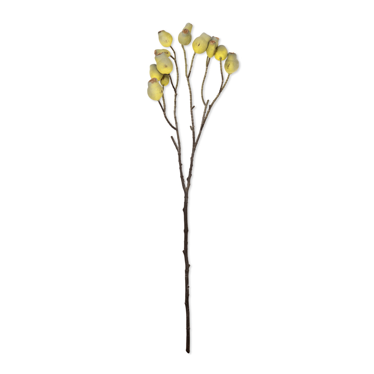 Artificial eucalyptus gum nut green brown faux fake seed pods stem botanical realistic closeup