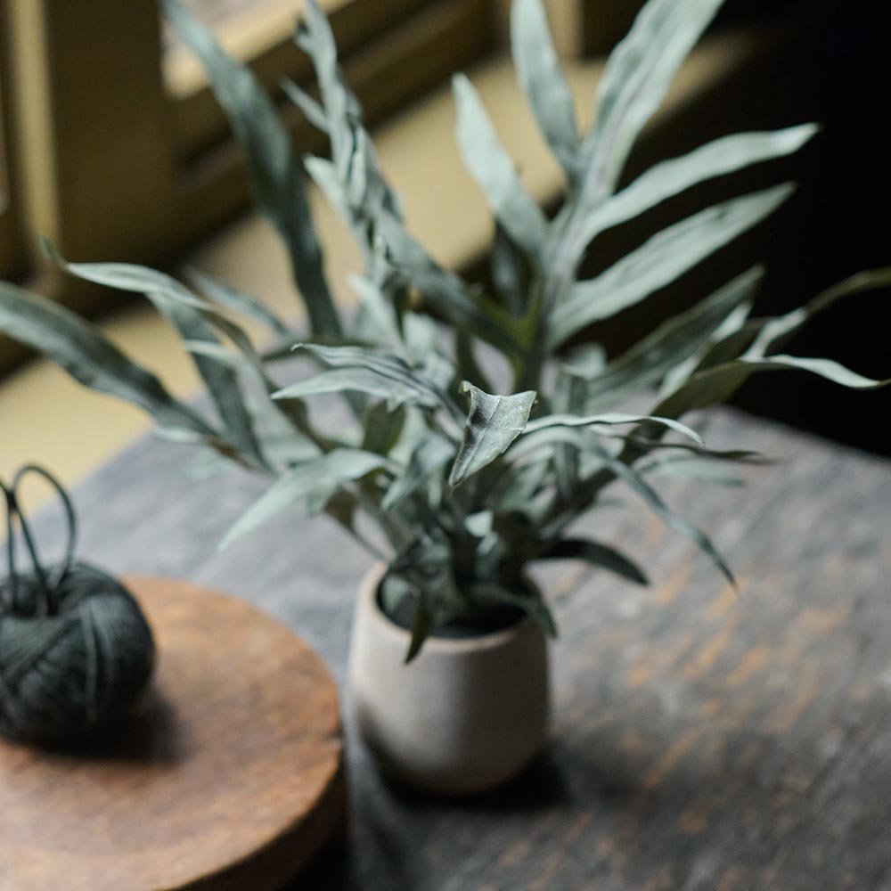 Artificial Eucalyptus in Pot