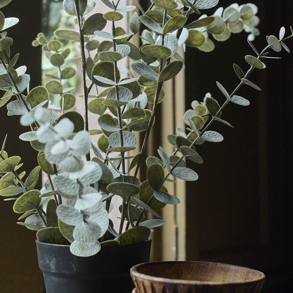 Artificial eucalyptus silver potted faux fake plant green grey leaves black pot realistic closeup