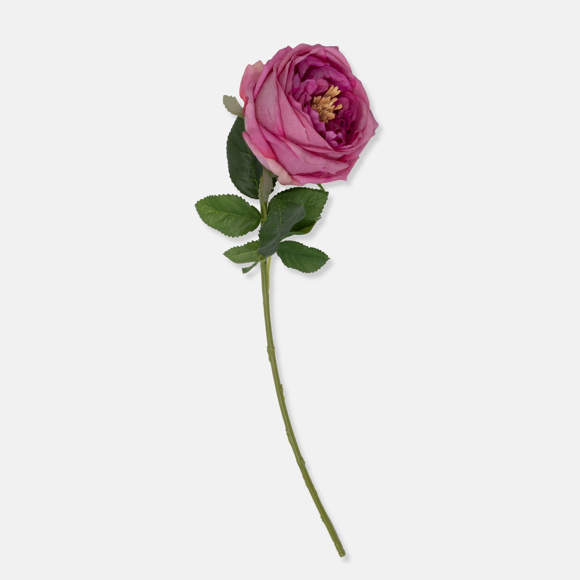 Artificial Real Touch Garden Rose, Mauve | Pink | Abigail Ahern