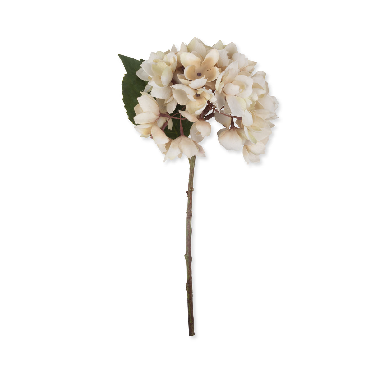 Artificial hydrangea morning mist cream brown faux fake flower stem botanical realistic closeup