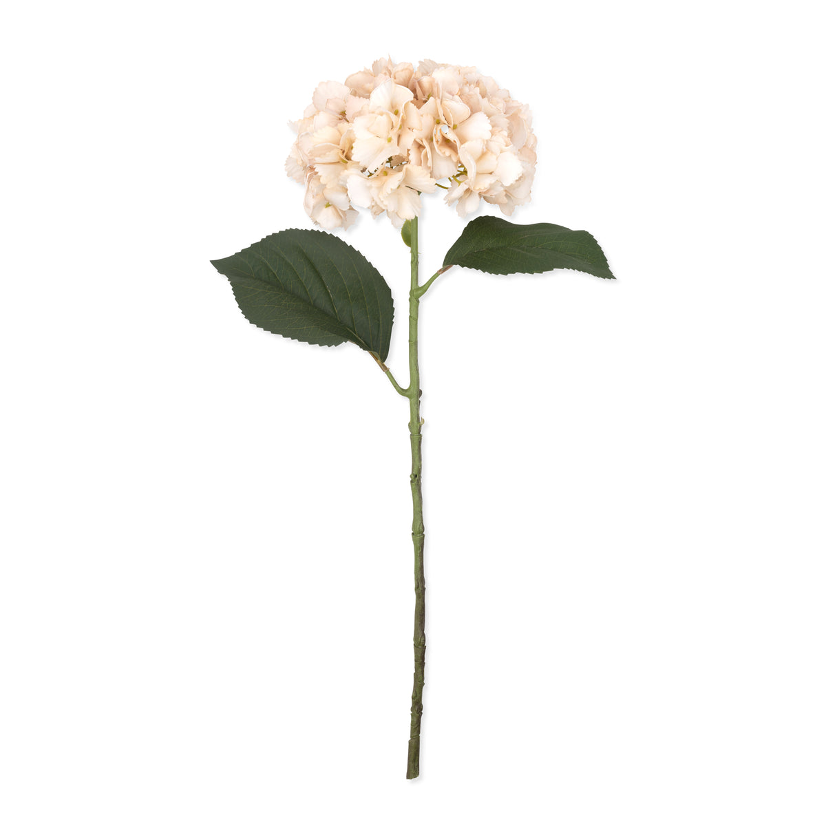 Artificial hydrangea vanilla cream faux fake flower vase arrangement botanical realistic home decor