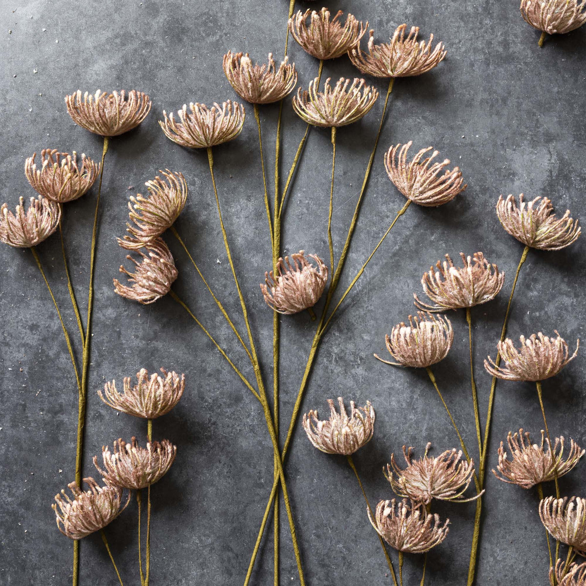 Artificial Leucospermum, Blush