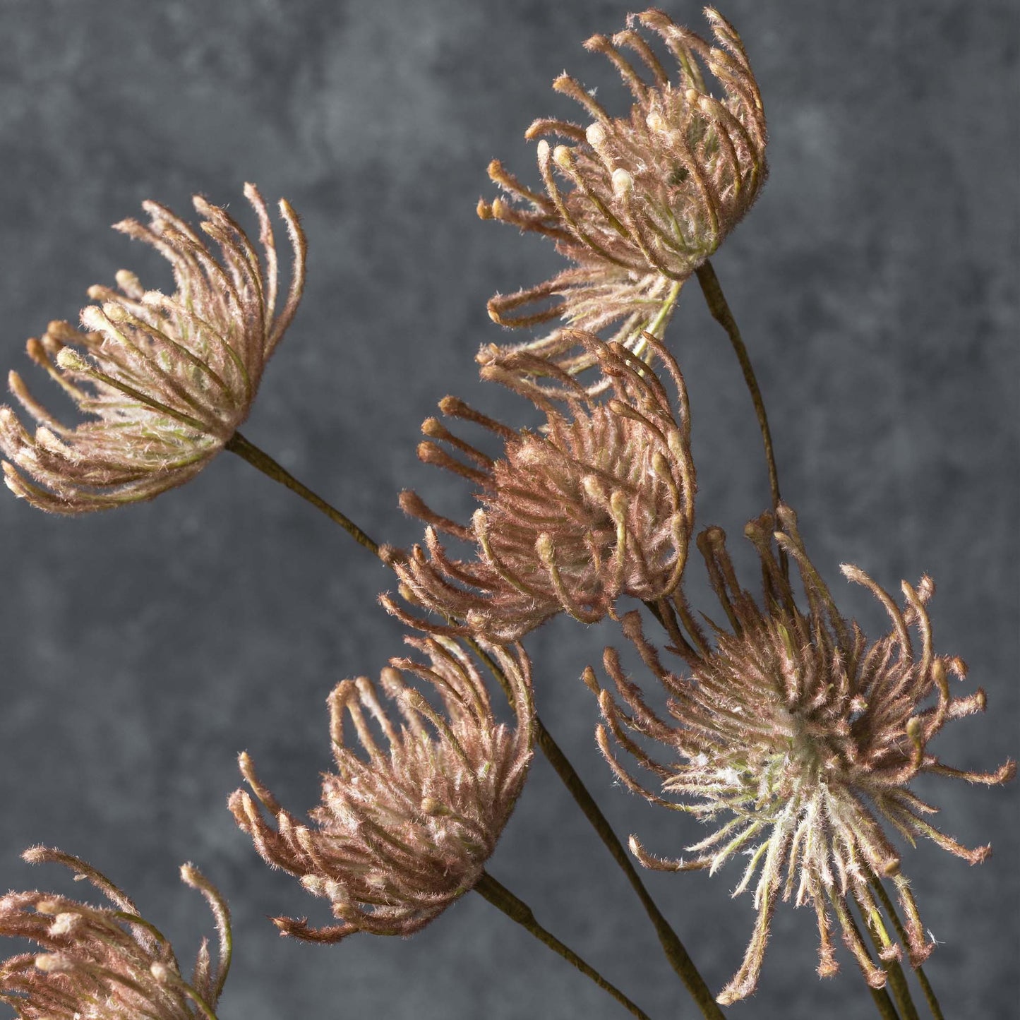 Artificial Leucospermum, Blush