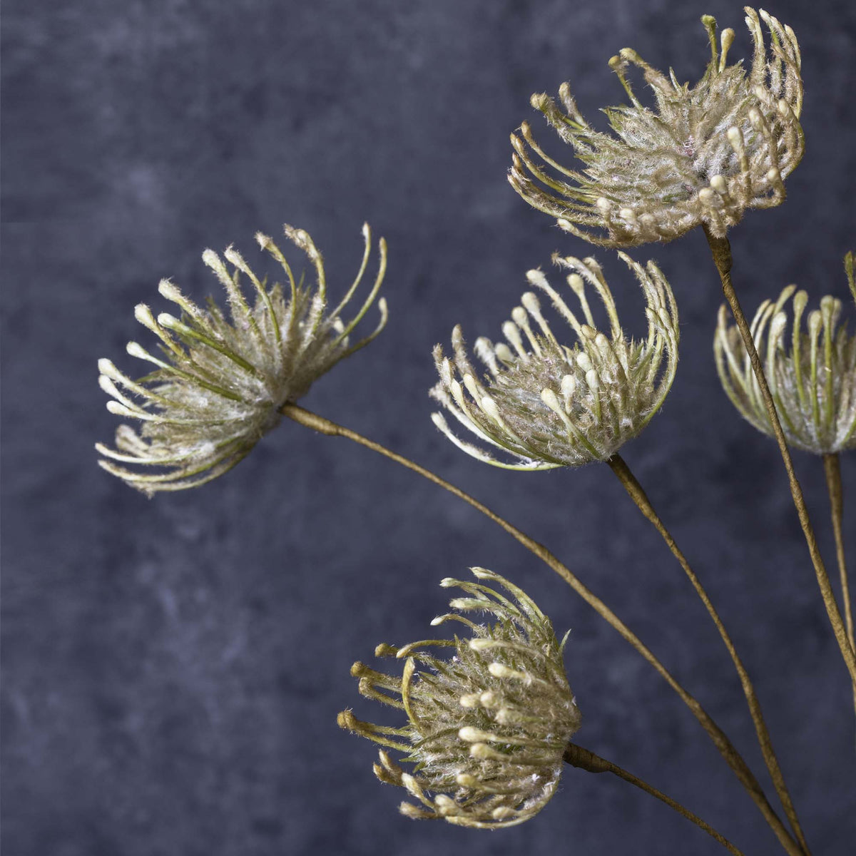 Artificial Leucospermum, Green