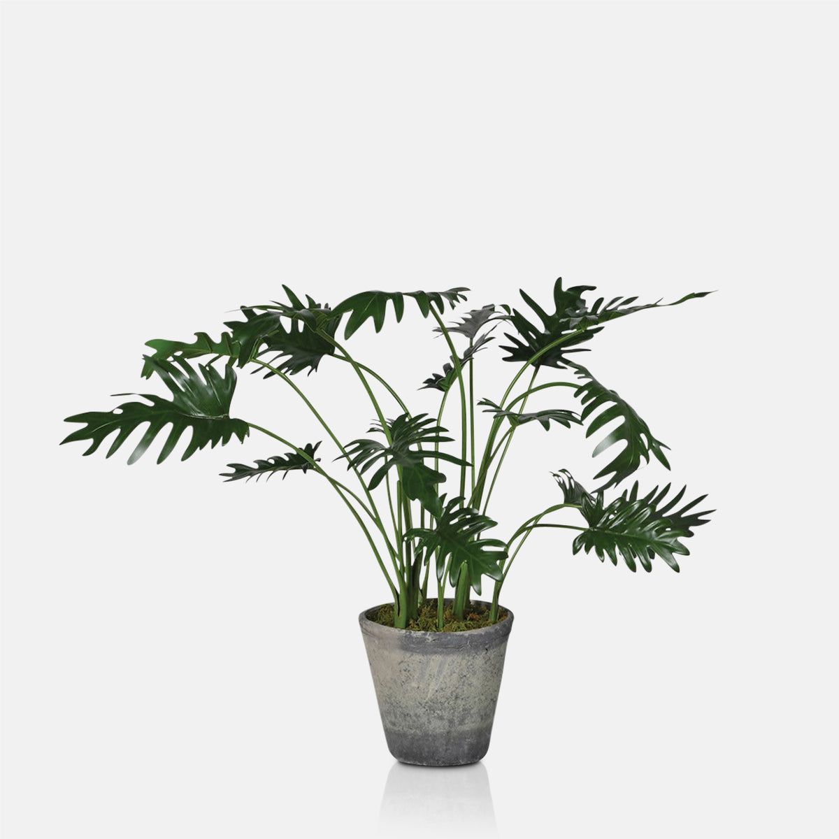 Artificial Monstera Plant