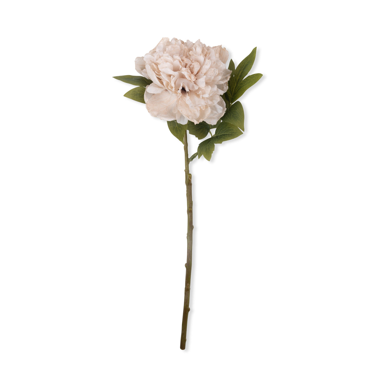 Cutout image of a single stem of a faux peony in a pale pink colour on a white background.