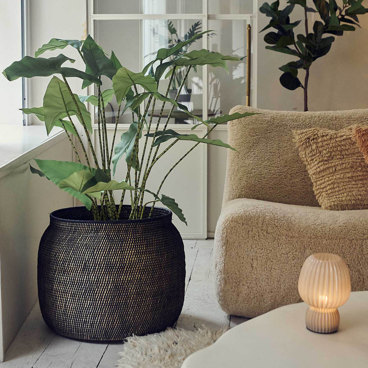 Artificial Potted Zebra Plant - Large