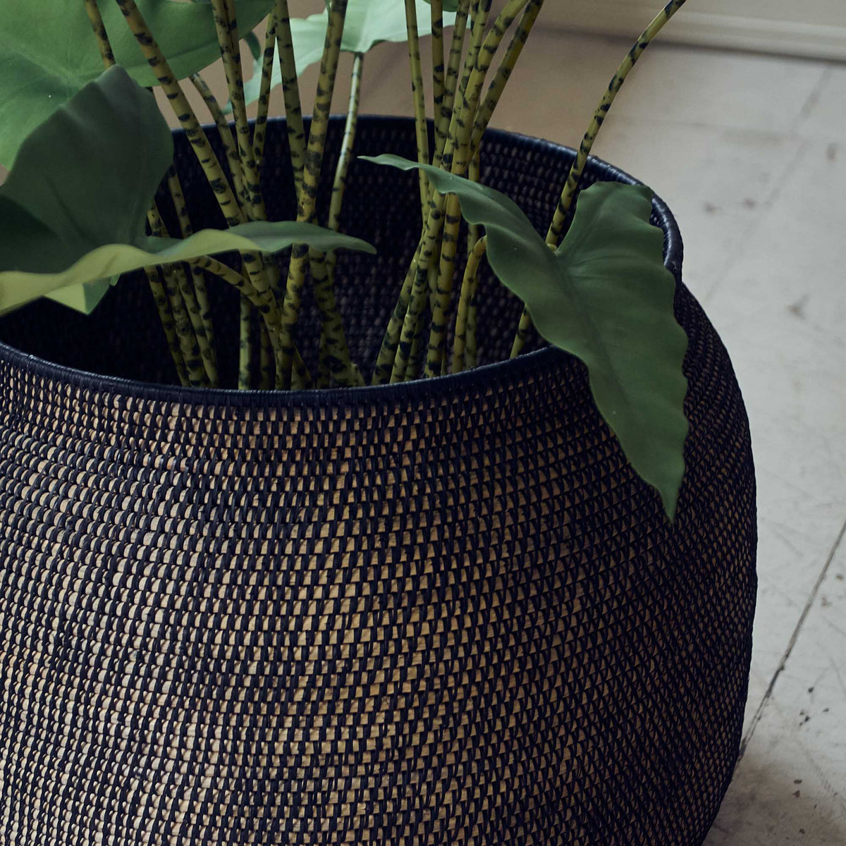 Artificial Potted Zebra Plant - Large
