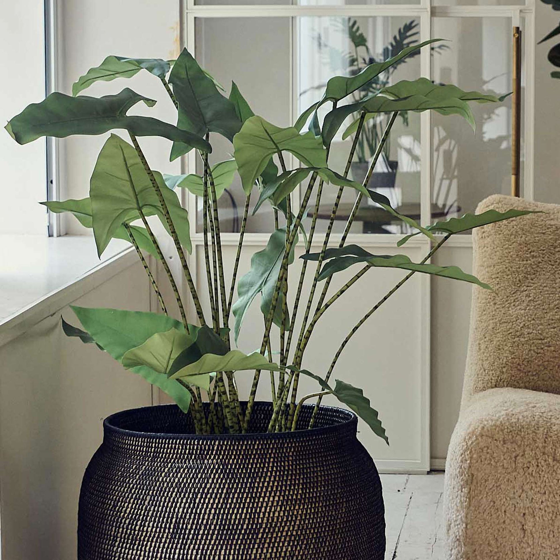 large faux plant in pot Artificial Potted Zebra Plant | Large Faux Plants