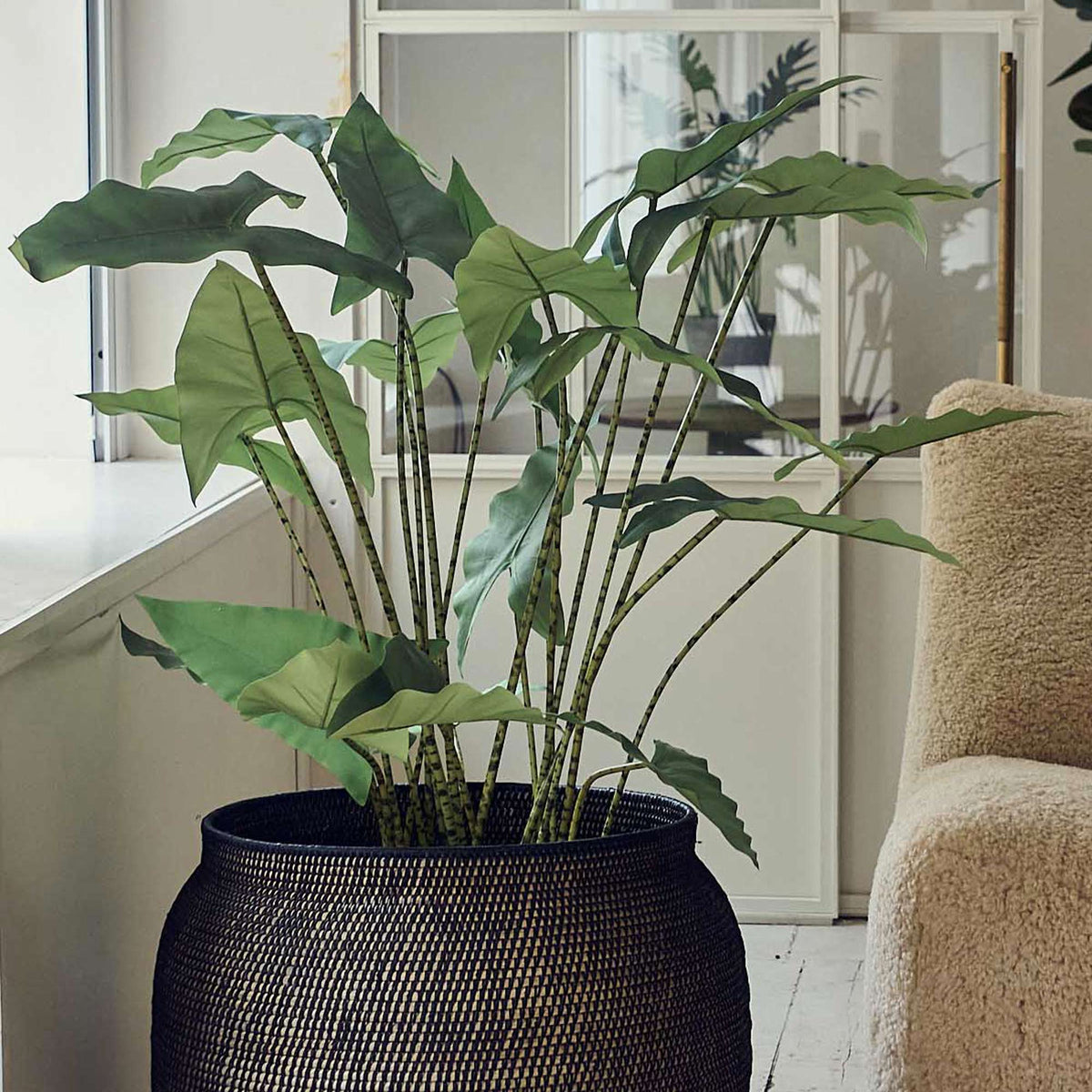 Artificial Potted Zebra Plant - Large