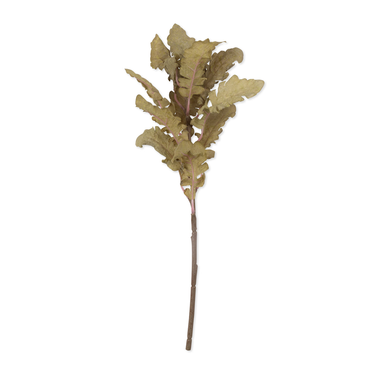 Cutout image on a white background of a single stem of artificial ragwort.