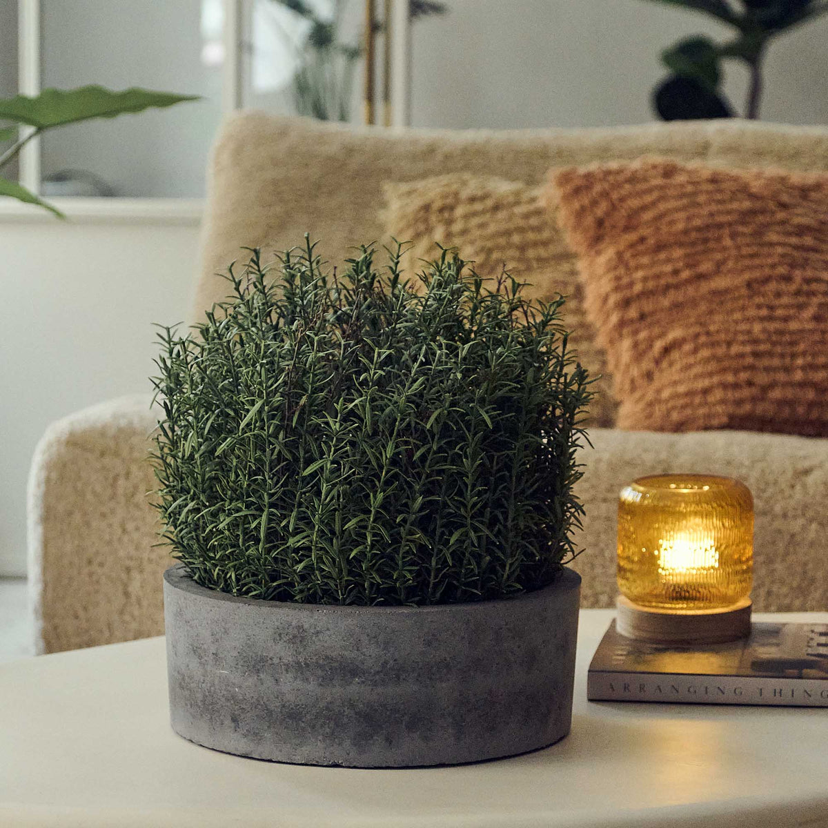 Artificial Rosemary Plant