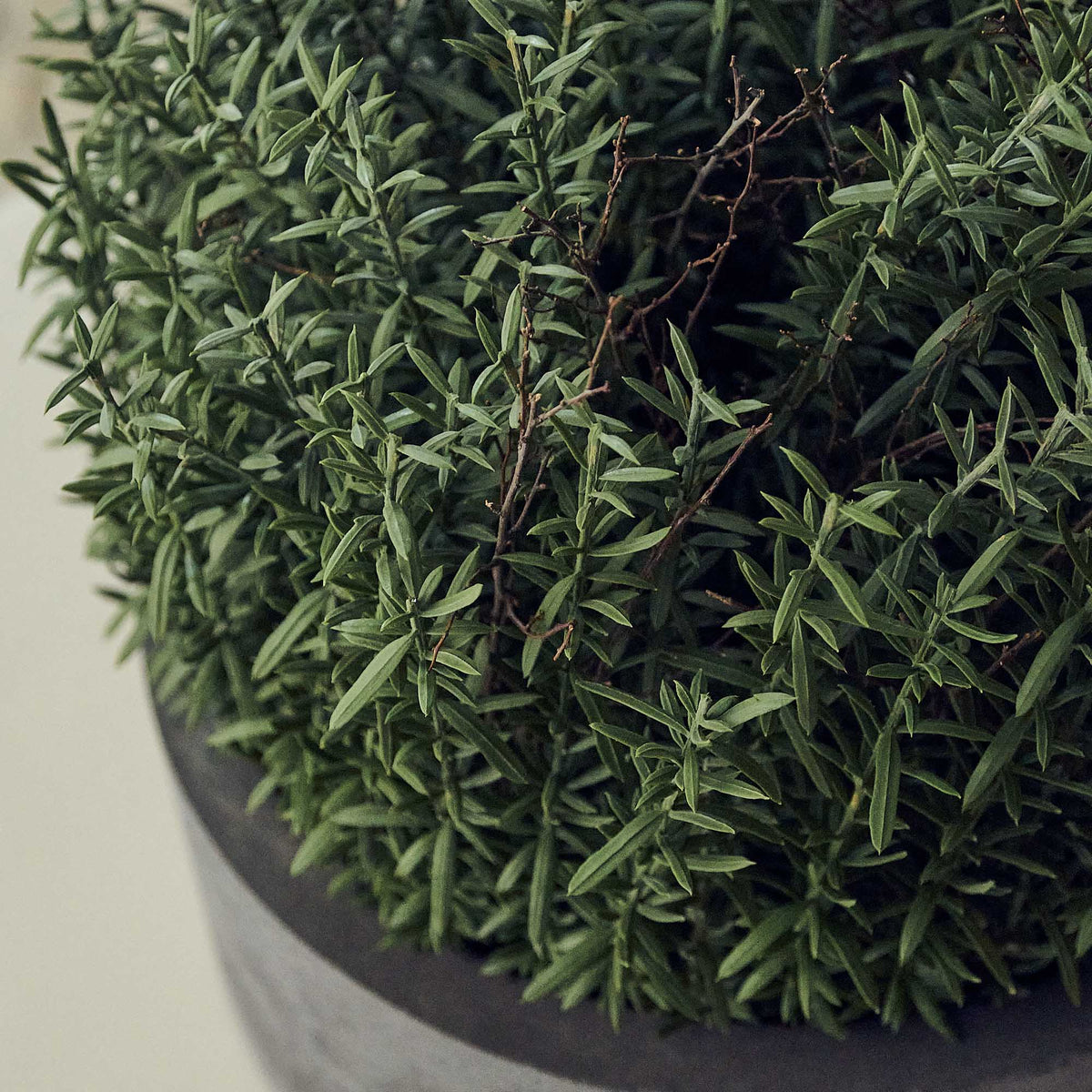 Artificial Rosemary Plant