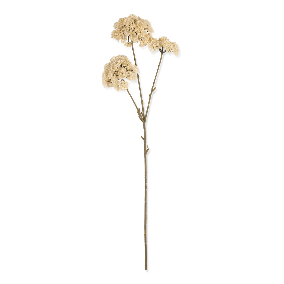 Artificial Sedum, Cream