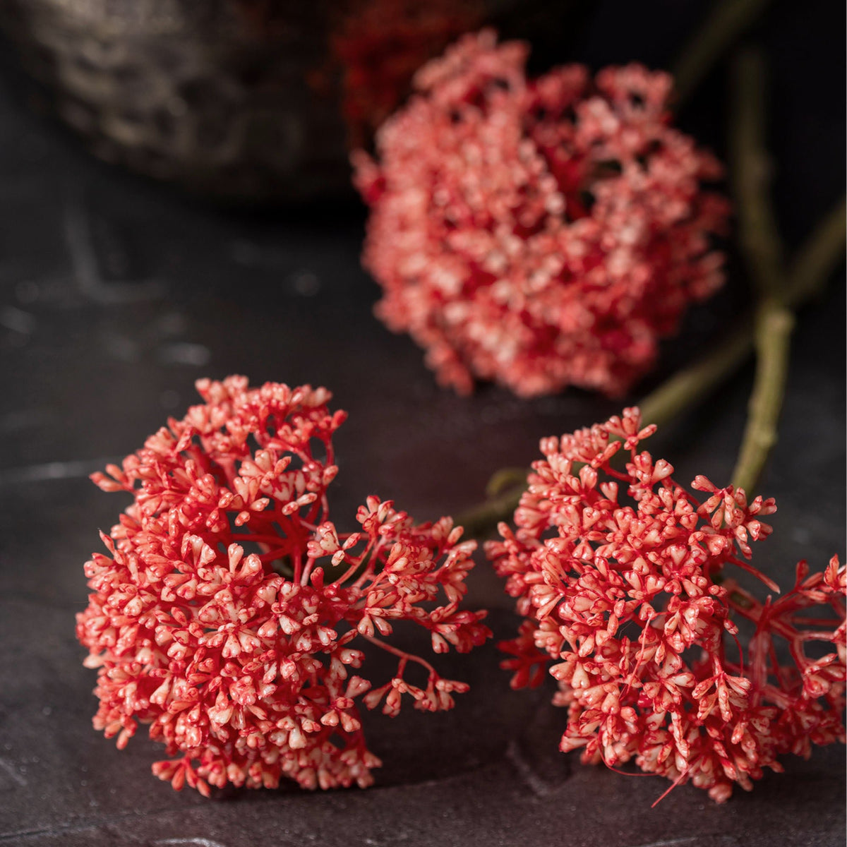 Artificial Sedum, Coral