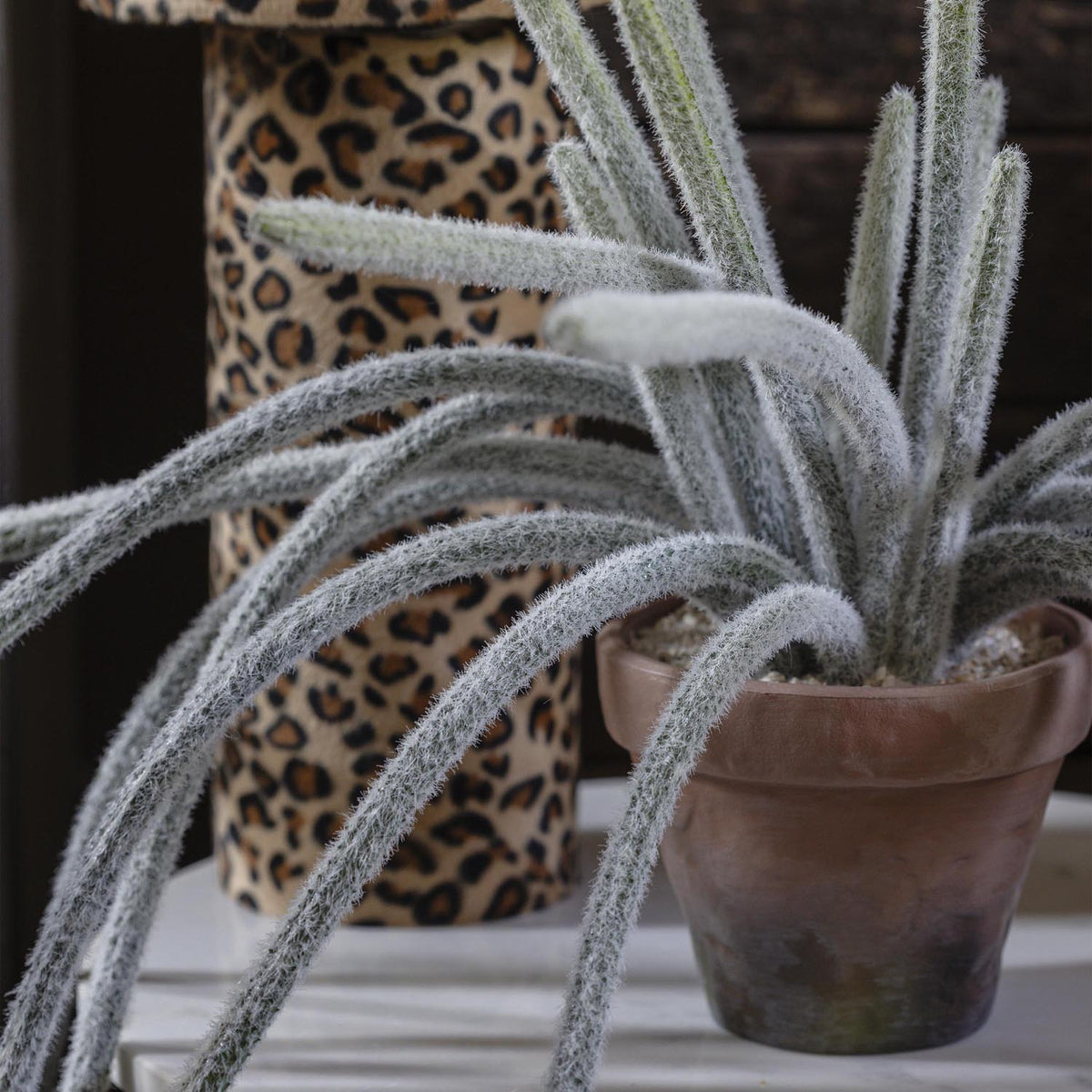 Artificial Trailing Monkey Tail Cactus
