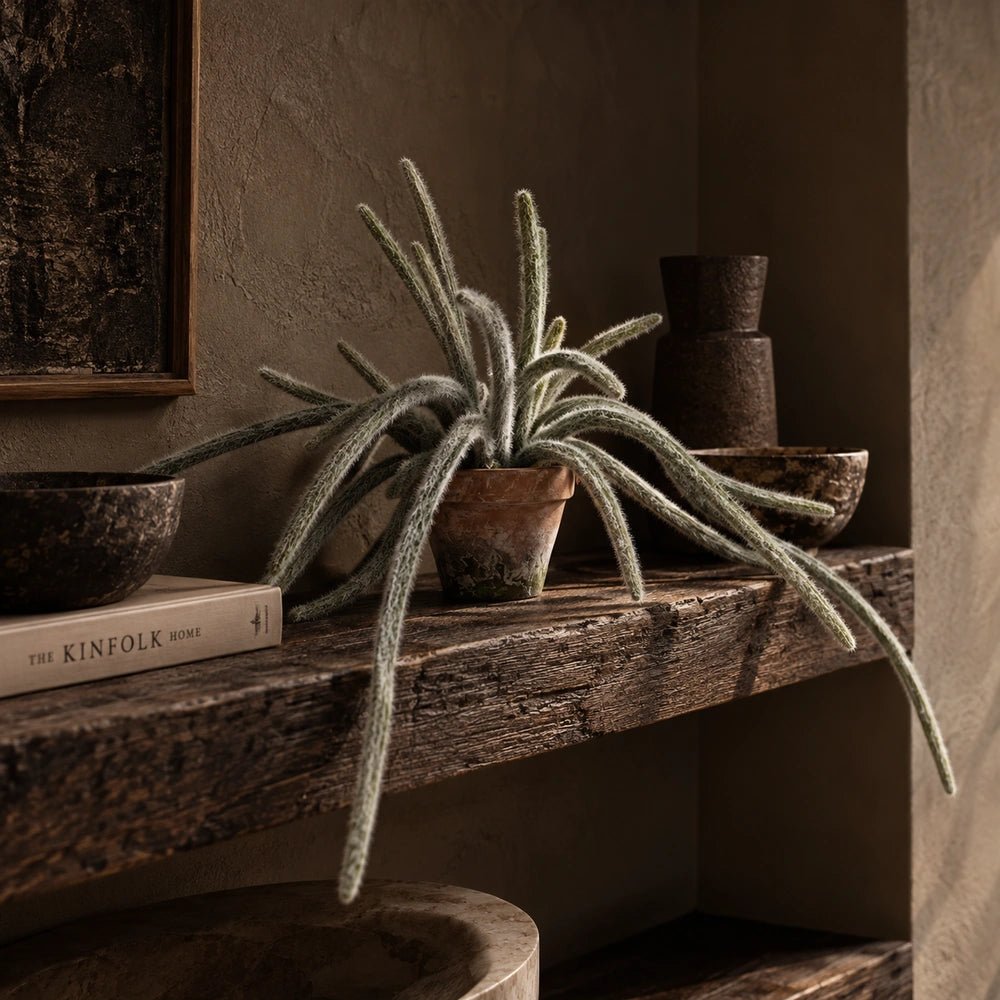 Artificial Trailing Monkey Tail Cactus with long green stems and fine white spines in a weathered terracotta pot, styled on a rustic wooden shelf.