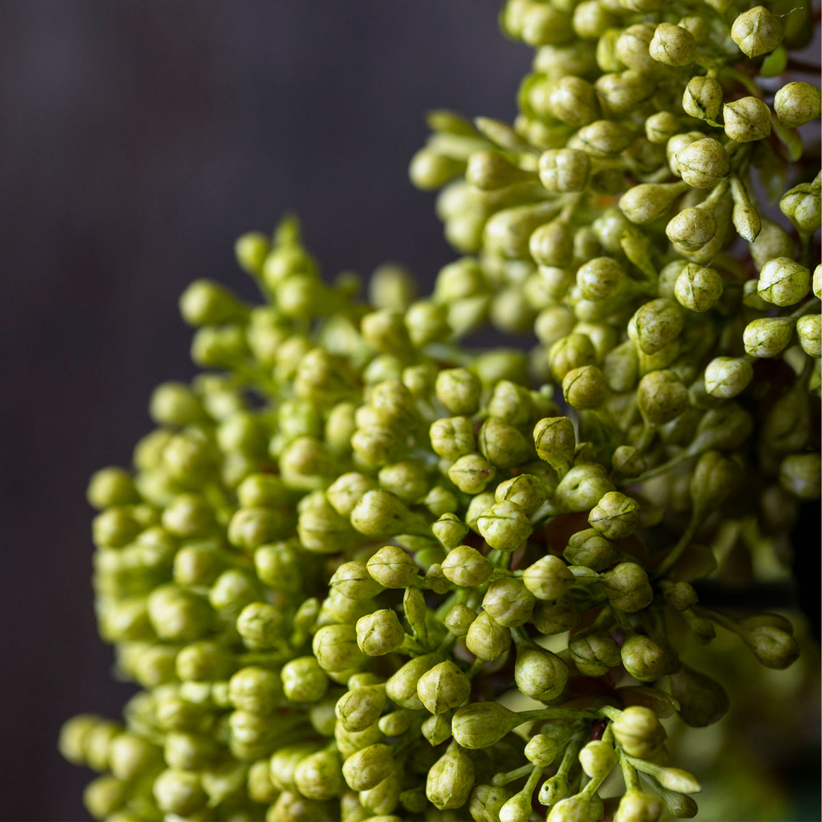 Artificial Viburnum, Olive