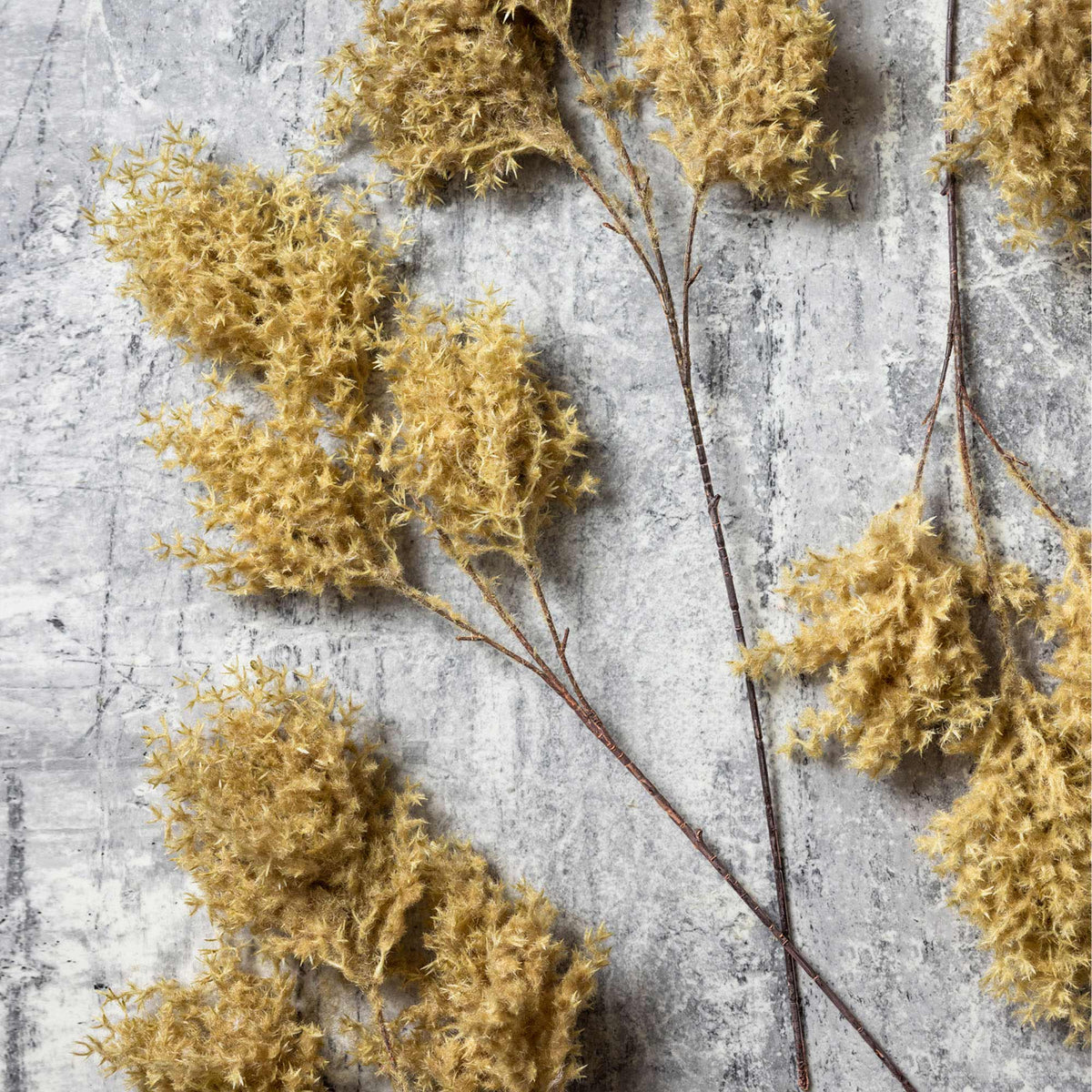 Artificial Wild Fog Grass, Buff