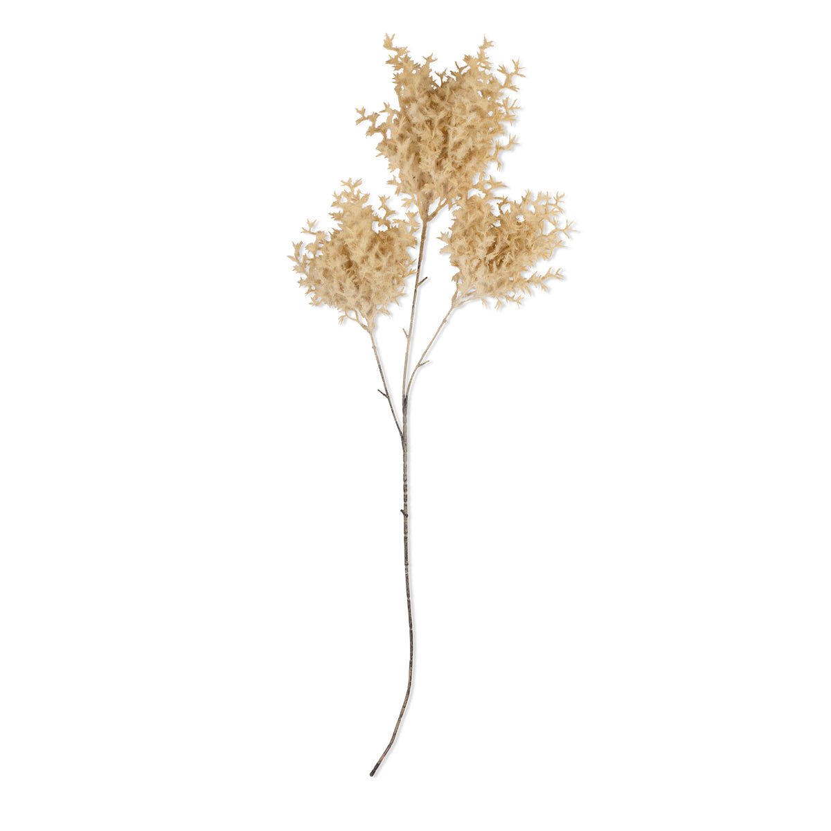 Artificial Wild Fog Grass, Buff