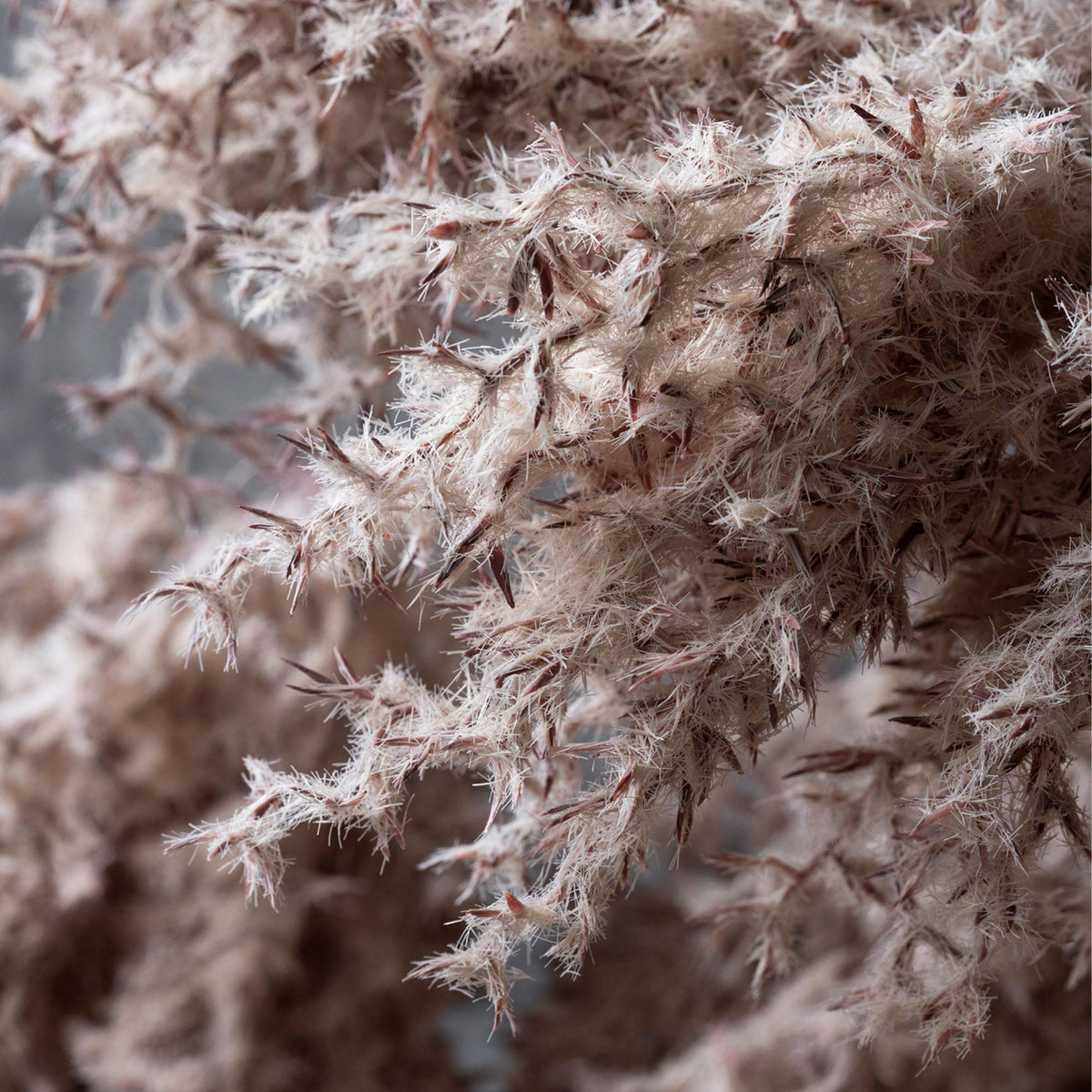 Artificial Wild Fog Grass, Dusk