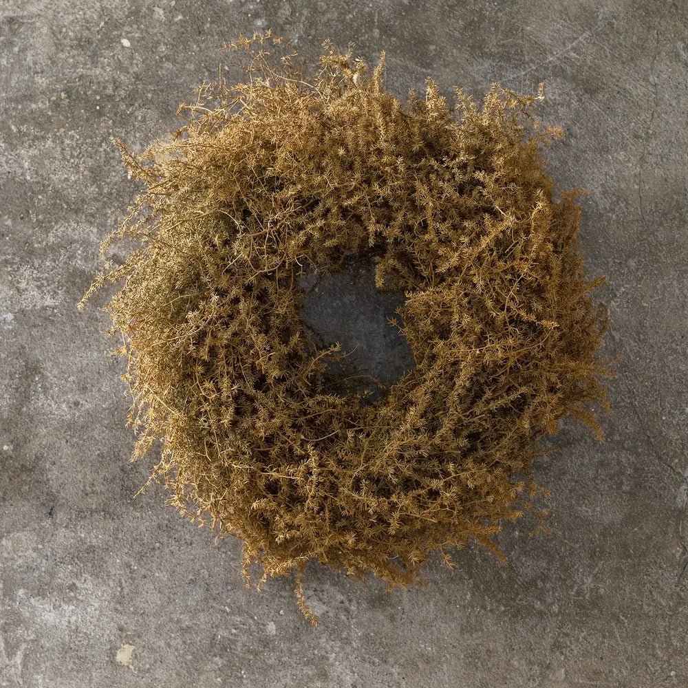 Dried asparagus wreath with airy russet foliage forms an irregular circular silhouette against a textured grey wall, showing fine branching stems around its open centre.