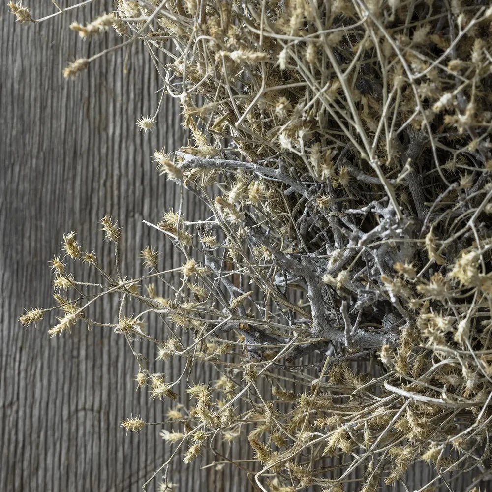 Dried hedgerow wreath reveals slender branching stems and tiny dried seed heads in close view, with muted brown and grey tones against weathered wooden boards.