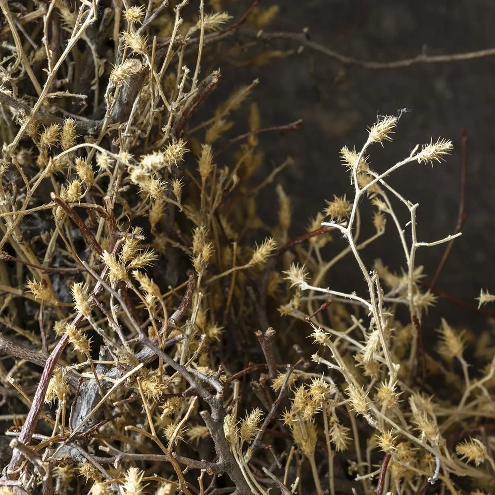 Dried wildwood wreath reveals slender brown stems and curled dried foliage in close detail, with crossing branches creating an airy outline against a dark background.