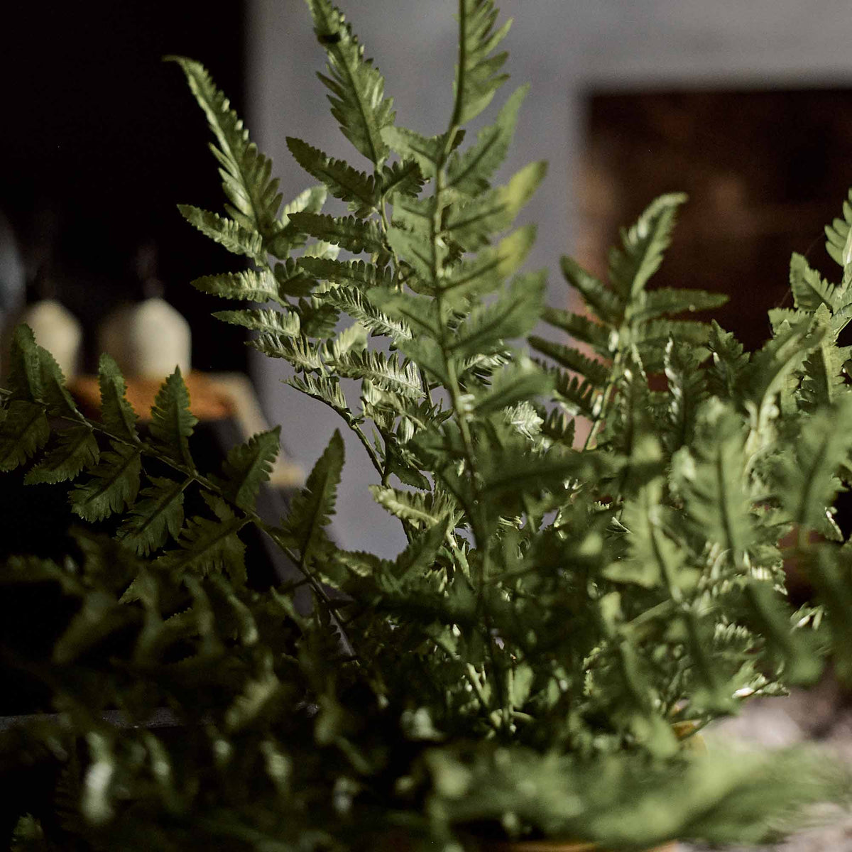 A closeup of the faux green fronds of the Artificial Fern in Terracotta Pot.