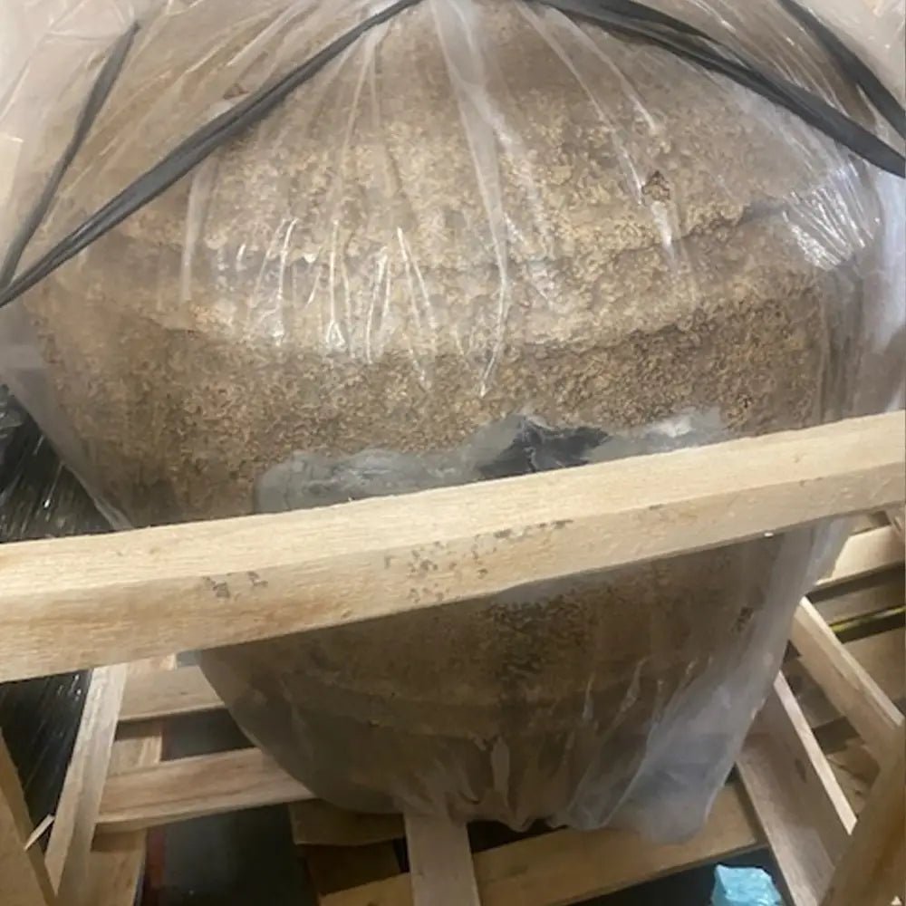 Finn Large Rustic Vase - Ex-Display