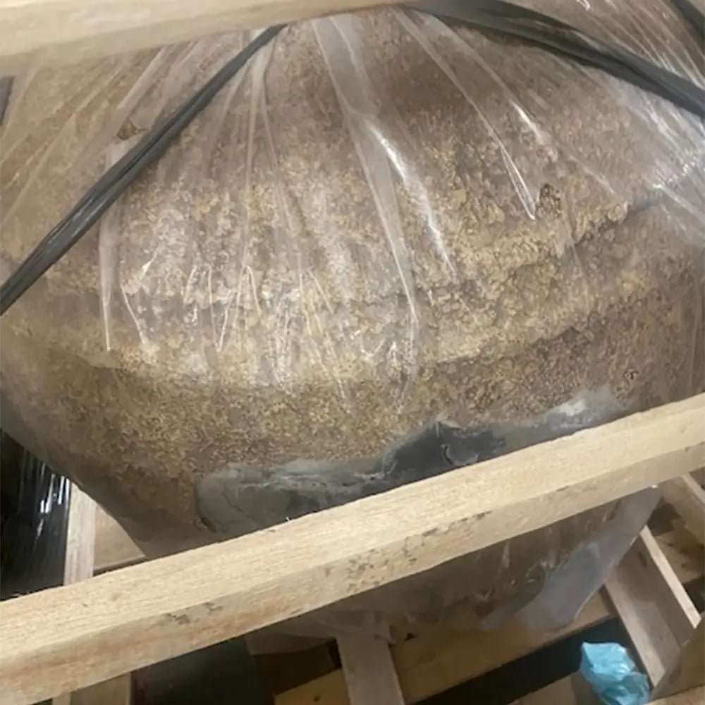 Finn Large Rustic Vase - Ex-Display