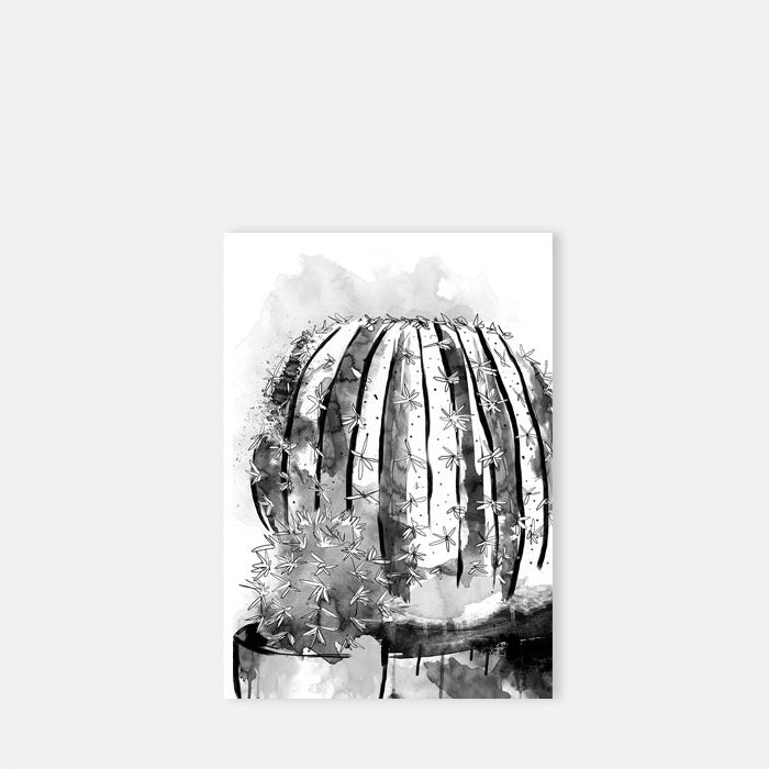  Monochrome sketchy print of a large ball cactus with a smaller one in front