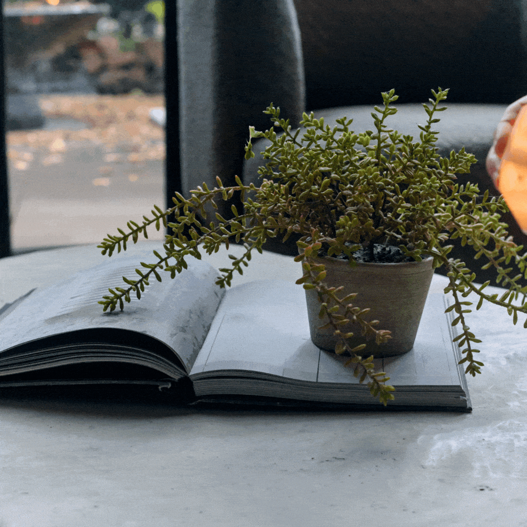 Oleander Glass Candle Holder