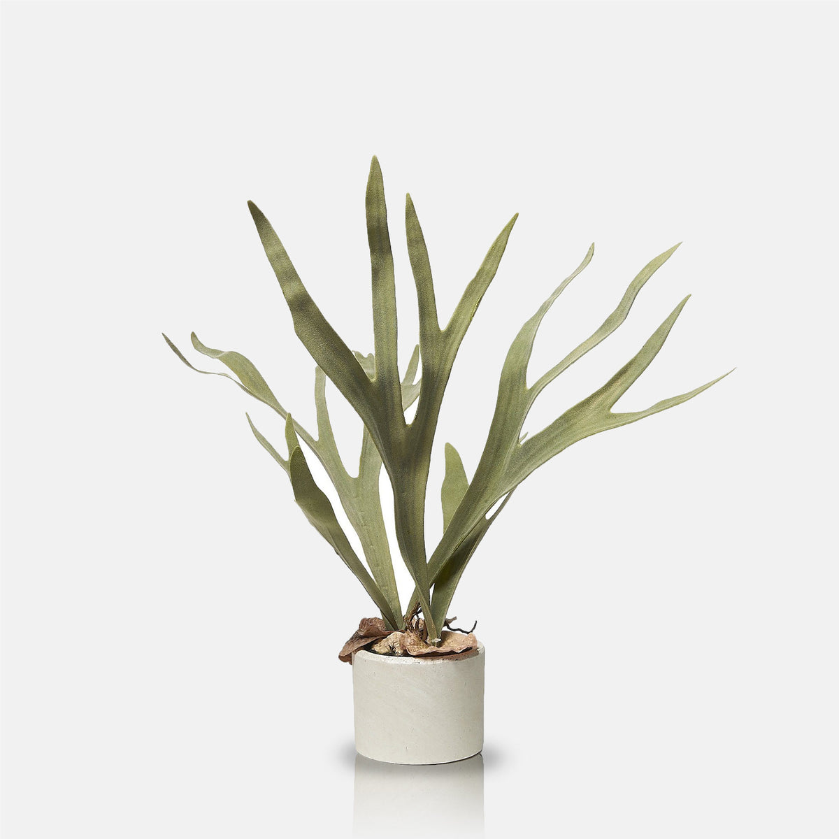Artificial Staghorn Plant