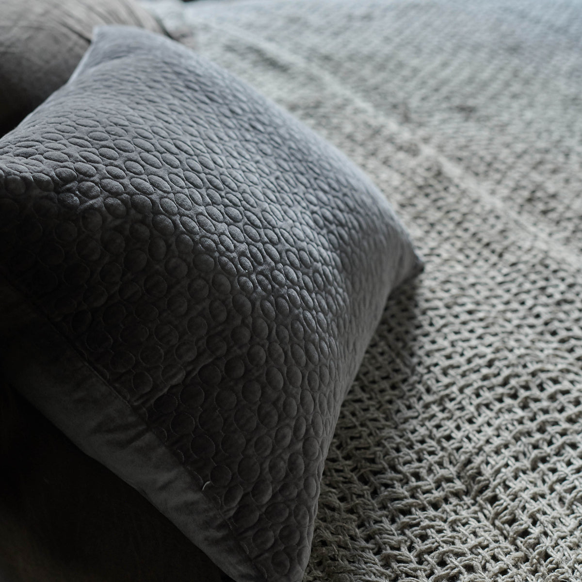 Wilson Grey Velvet Cushion