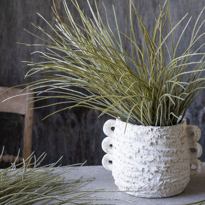 Tall spiky green grass stems in a short white textured vase