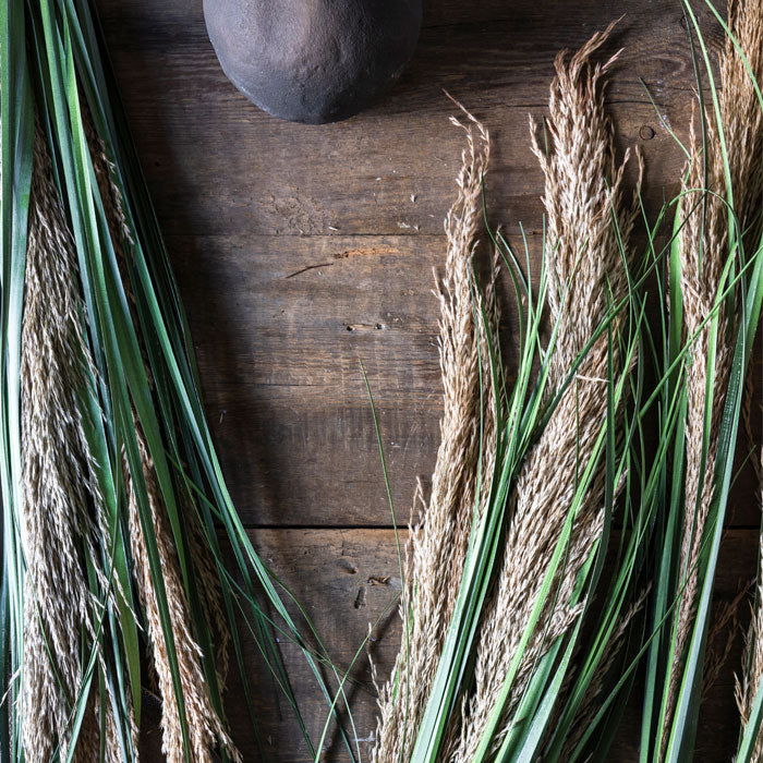 Dried pampas grass stems with green foliage lying on a wooden surface