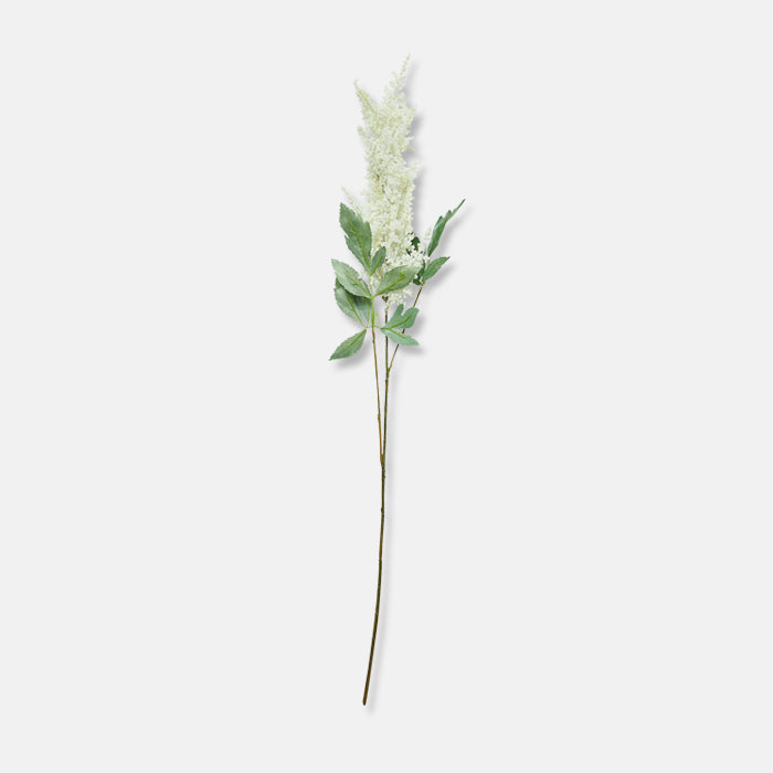 A single cream astilbe flower stem