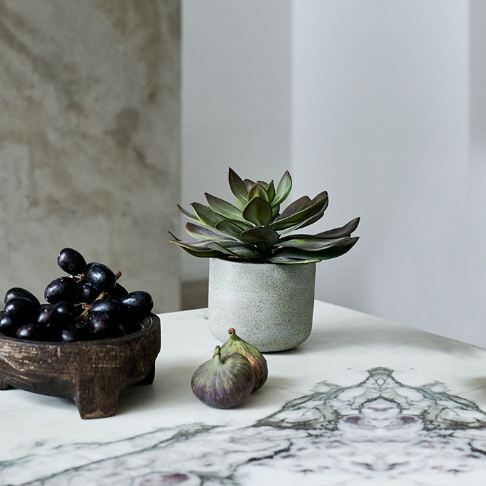 Tiered green succulent in a light grey pot behind a fruit bowl
