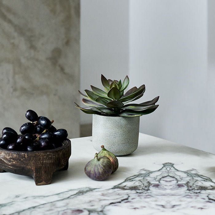 Tiered green succulent in a light grey pot behind a fruit bowl