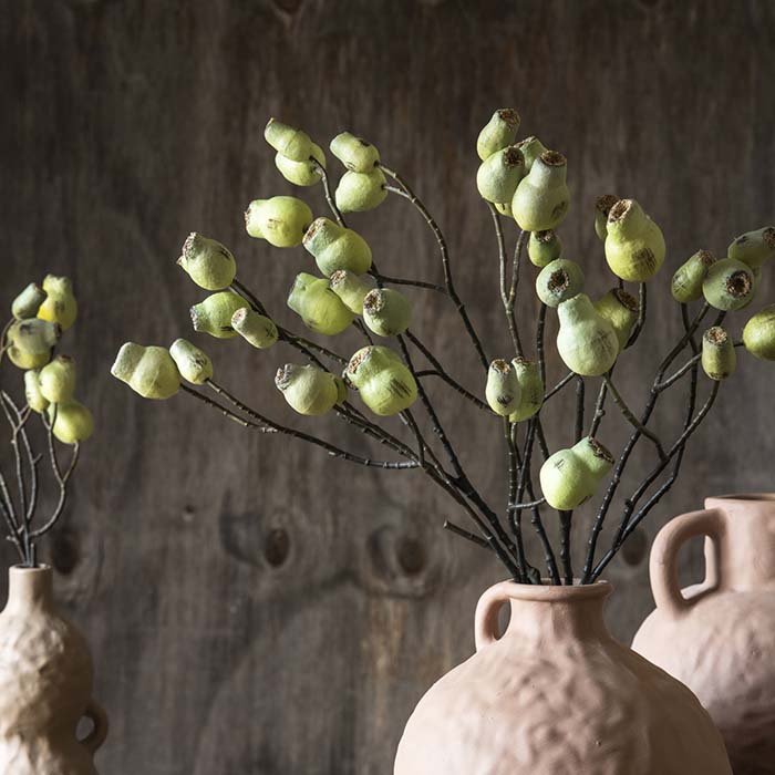 Three stems of a green and brown eucalyptus seed pods in a terracotta vase
