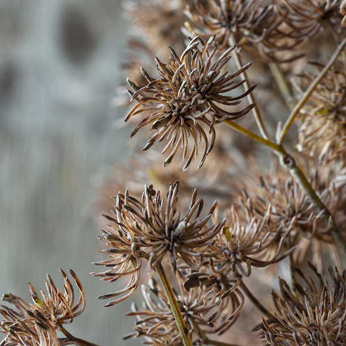 Artificial hazel faux fake flower spiky brown stem botanical realistic home decor textural