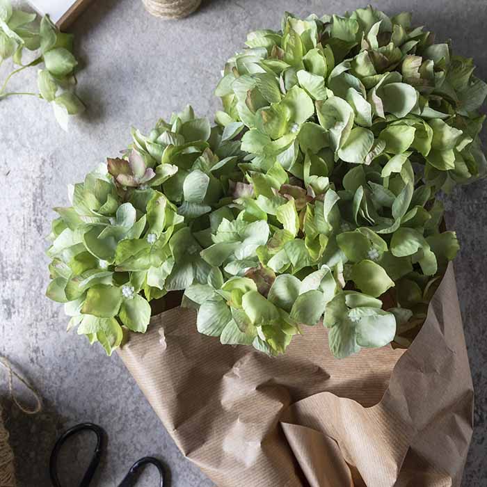 Green artificial hydrangea flower heads wrapped in brown paper.